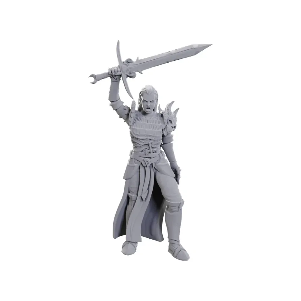 Dungeons & Dragons - Nolzur's Marvelous Miniatures: Blackguard 