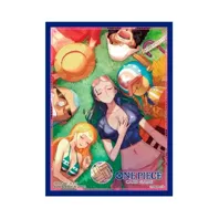 One Piece obaly Nico Robin (70x)