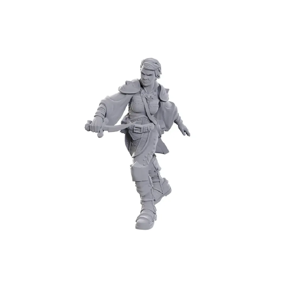 Dungeons and Dragons – Nolzur's Marvelous Miniatures: Swashbuckler