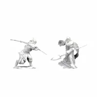 Dungeons & Dragons - Nolzur's Marvelous Miniatures: Elf Male Druid