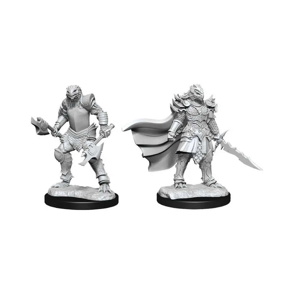 Dungeons & Dragons – Nolzur's Marvelous Miniatures: Dragonborn Fighter Female