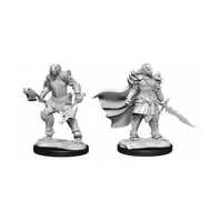 Dungeons & Dragons - Nolzur's Marvelous Miniatures: Dragonborn Fighter Female