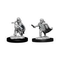 Dungeons & Dragons - Nolzur's Marvelous Miniatures: Halfling Rogue Male