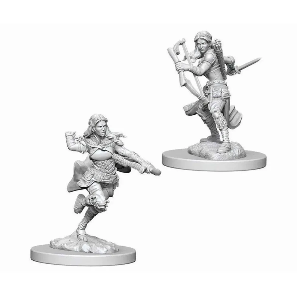 Dungeons and Dragons – Nolzur's Marvelous Miniatures: Air Genasi Female Rogue