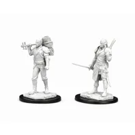 Dungeons & Dragons - Nolzur's Marvelous Miniatures: Male Half-Elf Bard