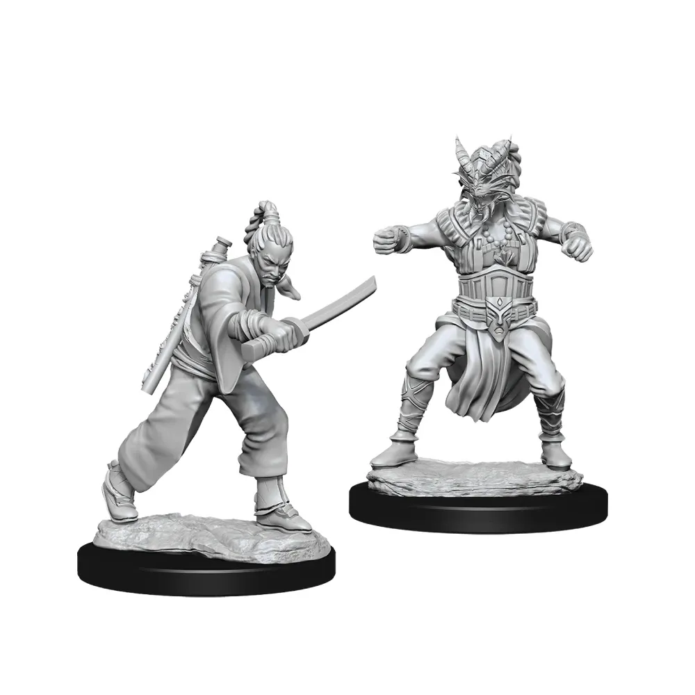 Dungeons & Dragons - Nolzur's Marvelous Miniatures: Male Human Monk 