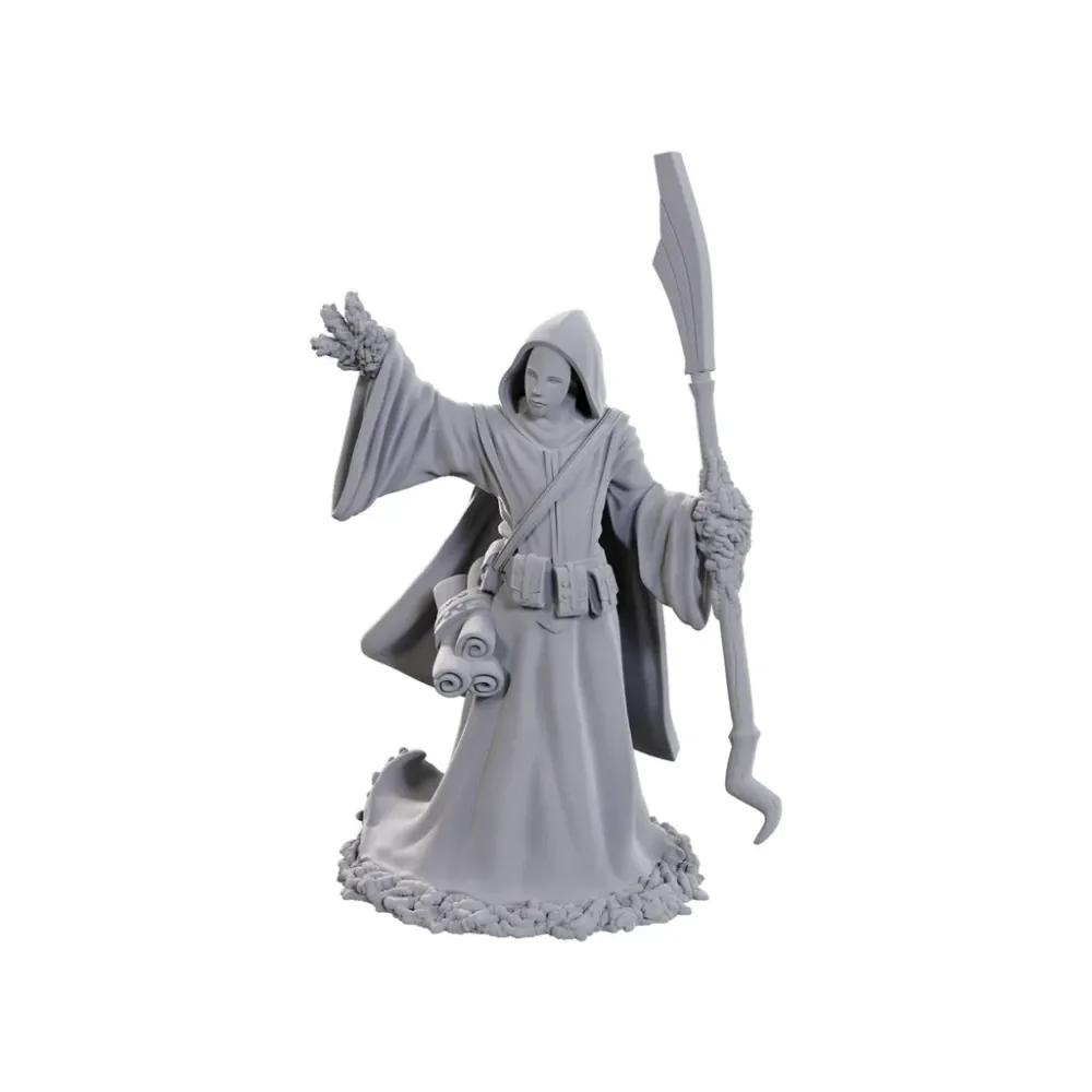 Dungeons and Dragons – Nolzur's Marvelous Miniatures: Star Spawn Larva Mage