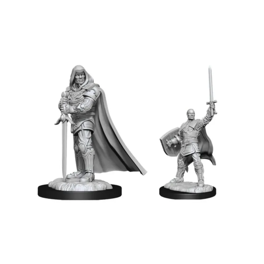 Dungeons & Dragons - Nolzur's Marvelous Miniatures: Male Human Paladin (#90136) 