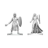 Dungeons & Dragons – Nolzur's Marvelous Miniatures: Black Gauntlet & Zhentilar Paladin of Bane