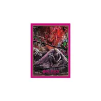 One Piece Sleeves Donquixote Doflamingo (70x)