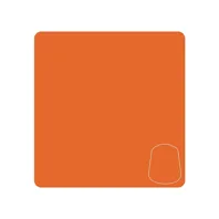 Warhammer Colour Layer: Troll Slayer Orange (12 ml)